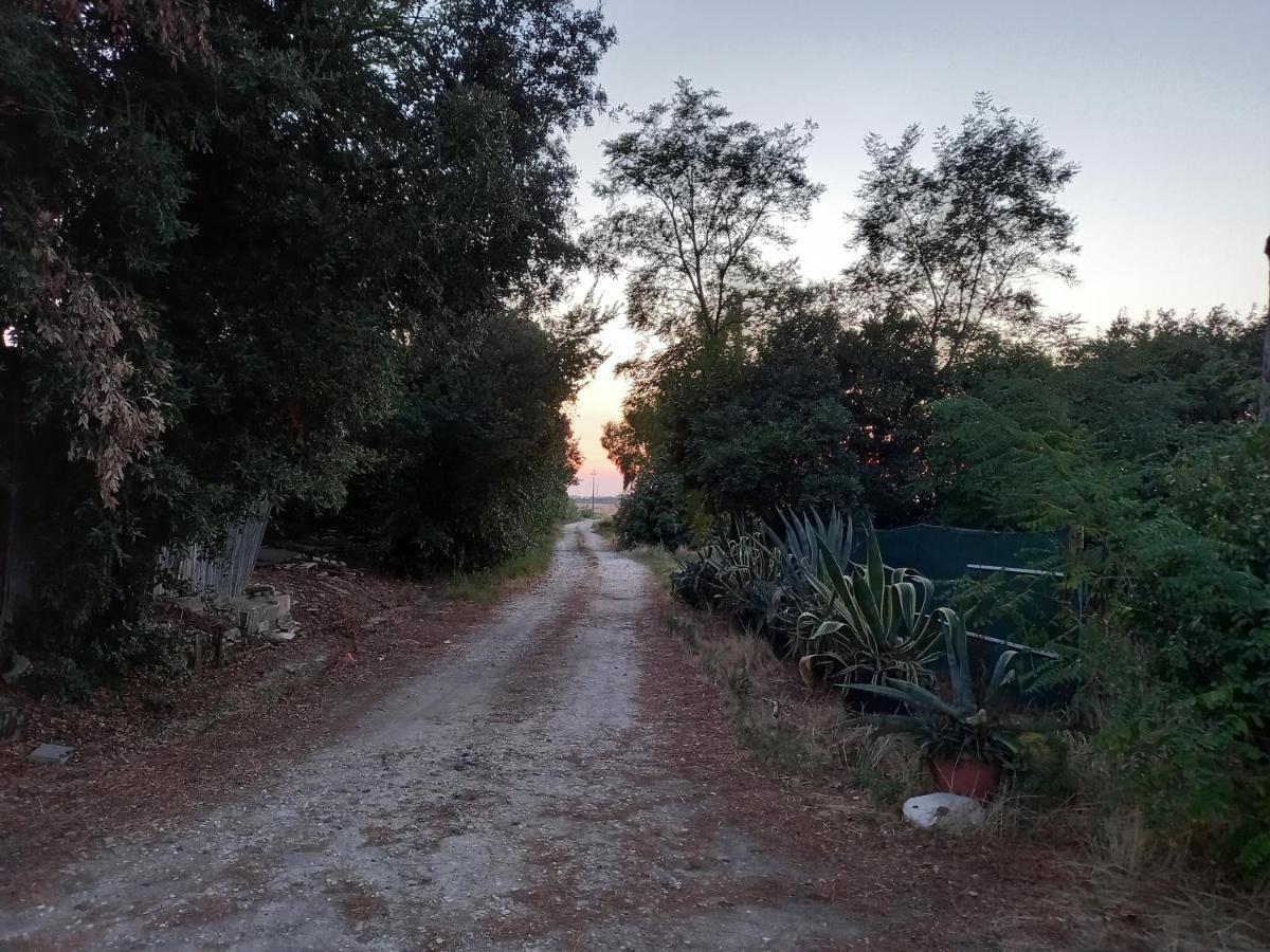 La Quiete Tra Le Vigne Tuscany Collesalvetti Exterior foto