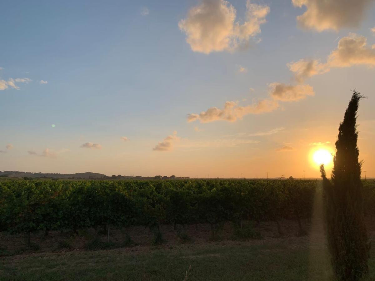 La Quiete Tra Le Vigne Tuscany Collesalvetti Exterior foto