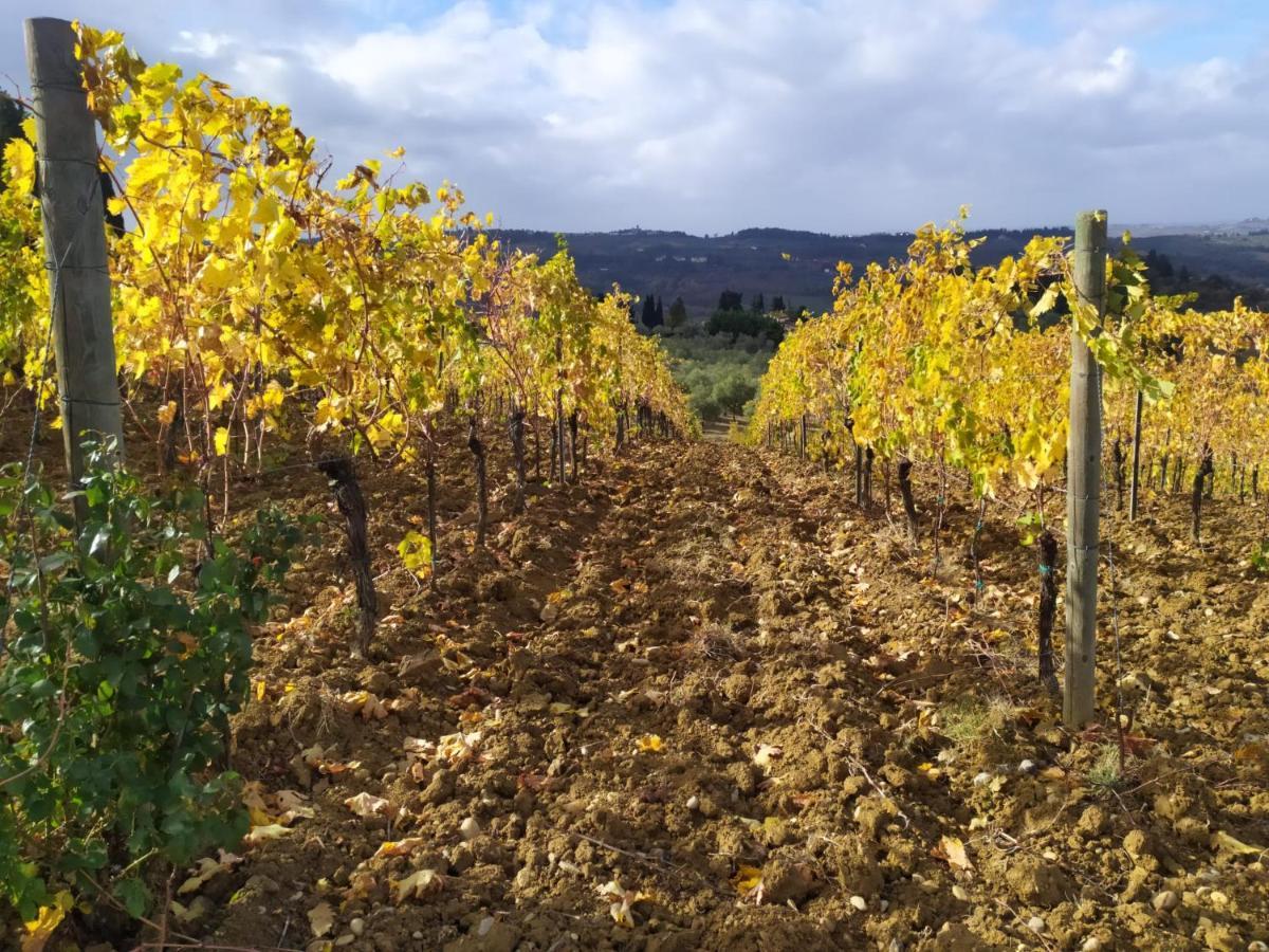 La Quiete Tra Le Vigne Tuscany Collesalvetti Exterior foto